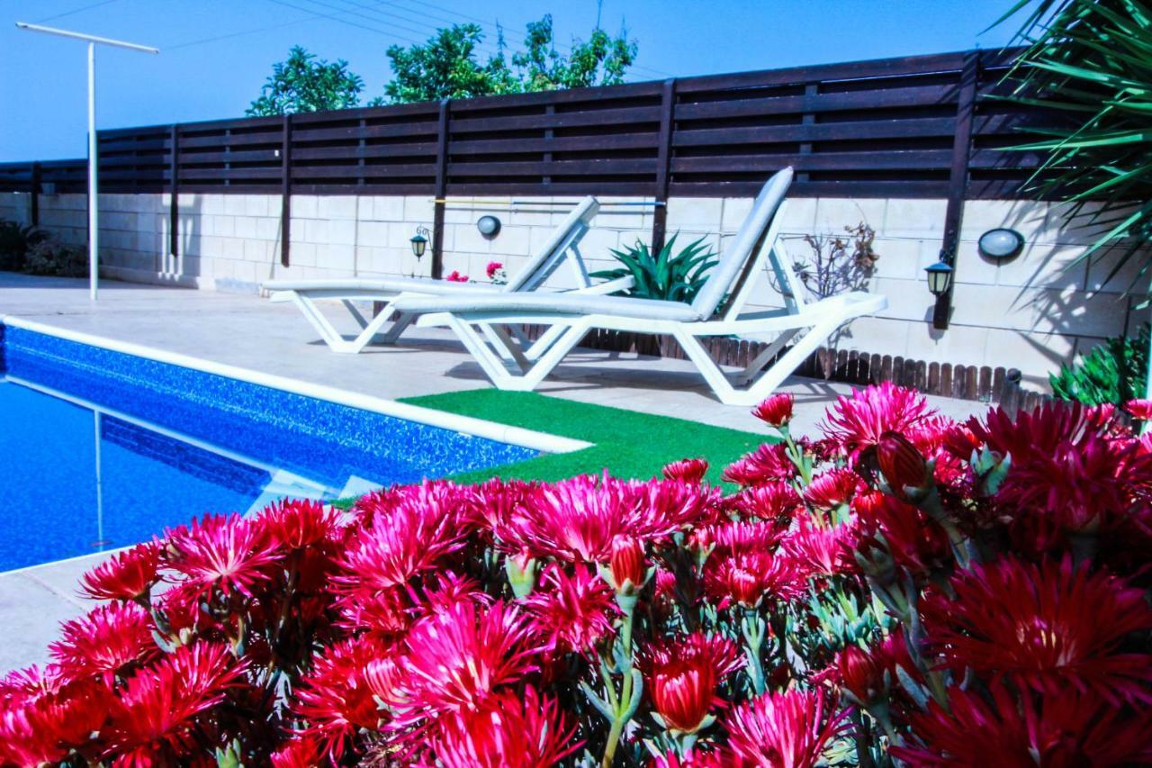 Xylophagou Experience 1 Villa Xylophaghou Dış mekan fotoğraf